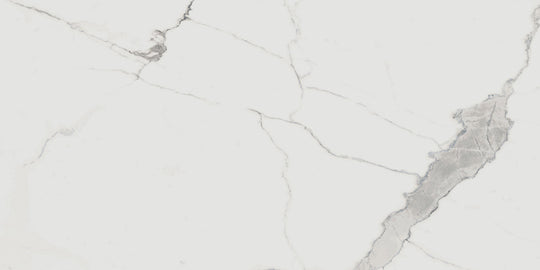 Renaissance Calacatta 24x48 Polished