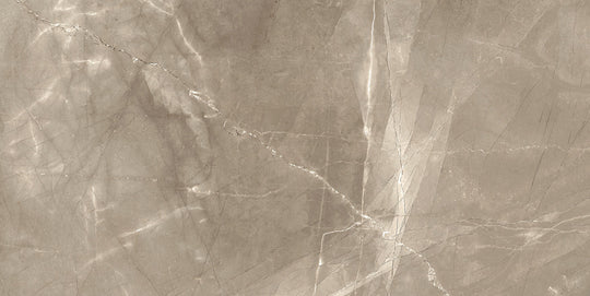 Renaissance Amani Bronze 24x48 Polished