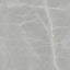 Renaissance Amani Grey 24x48 Polished