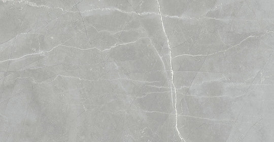 Renaissance Amani Grey 24x48 Polished