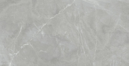 Renaissance Amani Grey 24x48 Matte