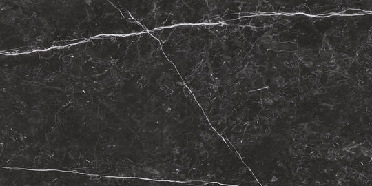 Renaissance Nero Marquina 24x48 Matte