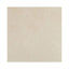 Renaissance Marfil 12x12 Matte