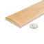 Sabbia Terracotta 2.5x8 Matte