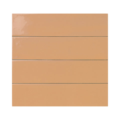 Sorbet Grapefruit 2x10 Glossy