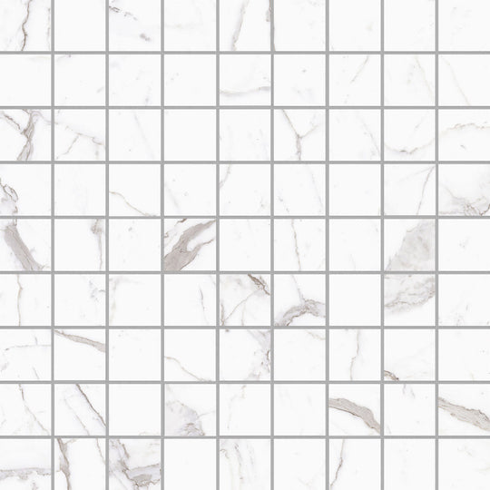 Ecstasy Zeal 2x2 Square Mosaic Matte