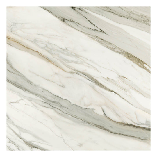 Archetype Aurento 48x48 Polished Porcelain Tile