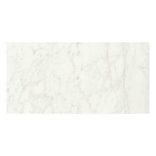 Archetype Bruma 24x48 Matte Porcelain Tile