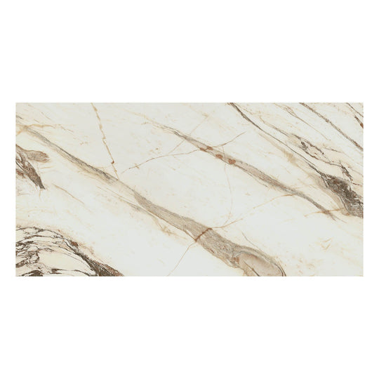 Archetype Ferrosa 24x48 Matte Porcelain Tile