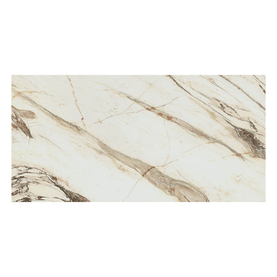 Archetype Ferrosa 24x48 Polished Porcelain Tile