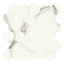 Archetype Nuvolo Polished Hexagon Mosaic