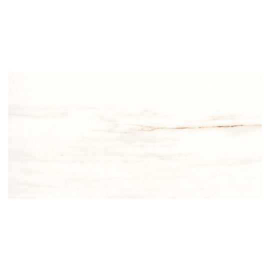 Harmonic Ostinato 12x24 Matte Porcelain Tile