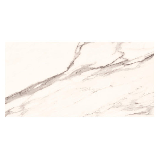 Harmonic Rondo 12x24 Matte Porcelain Tile