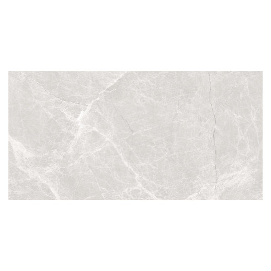 Harmonic Capella 12x24 Polished Porcelain Tile
