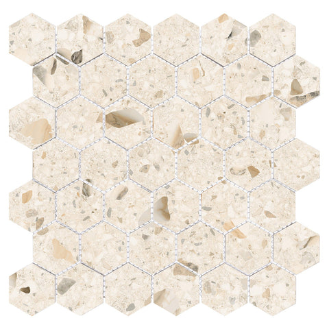 Harmonic Crescendo 2x2 Matte Hex Mosaic