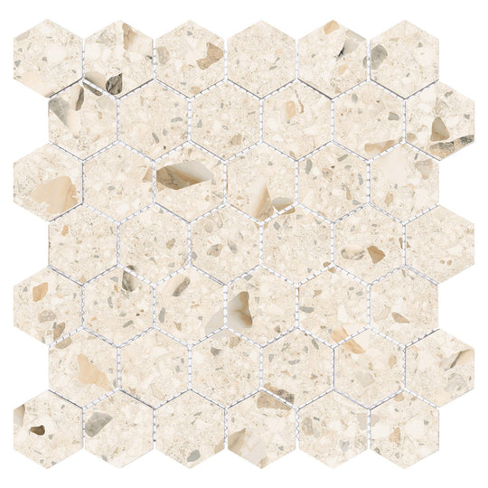 Harmonic Crescendo 2x2 Matte Hex Mosaic