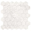Harmonic Forte 2x2 Matte Hex Mosaic