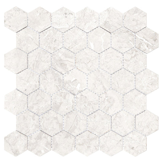 Harmonic Forte 2x2 Matte Hex Mosaic