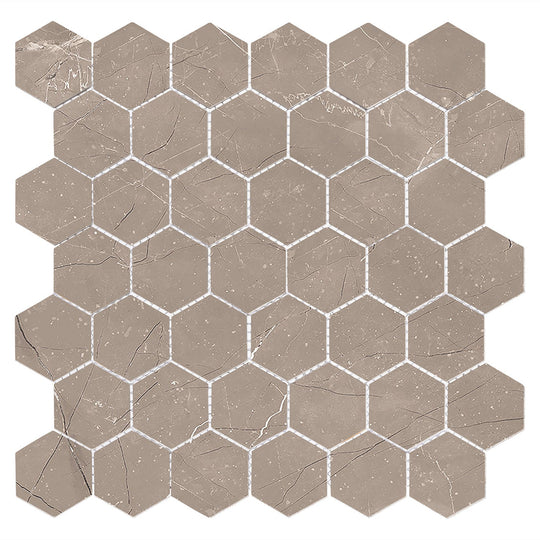 Harmonic Mezzo 2x2 Matte Hex Mosaic