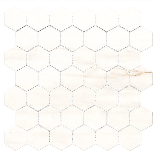 Harmonic Ostinato 2x2 Matte Hex Mosaic