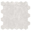 Harmonic Capella 2x2 Polished Hex Mosaic