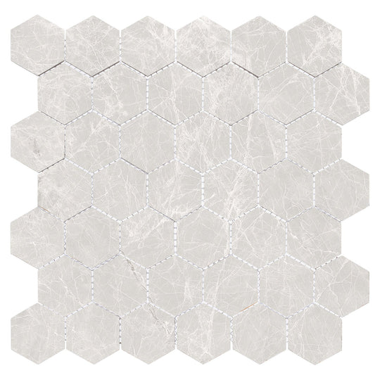 Harmonic Capella 2x2 Polished Hex Mosaic