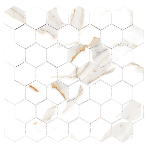 Harmonic Outro 2x2 Polished Hex Mosaic