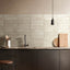 Reya Topo 3x12 Porcelain Subway Tile