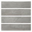 Reya Teja 3x12 Porcelain Subway Tile