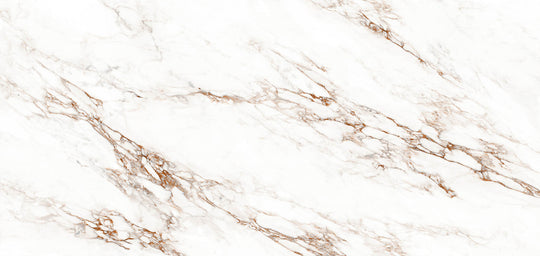 Destino Lucia Glossy 48x110 Porcelain Tile