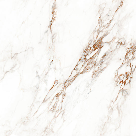 Destino Lucia Glossy 48x48 Porcelain Tile