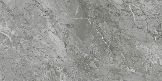 Destino Renzo Matte 12x24 Porcelain Tile