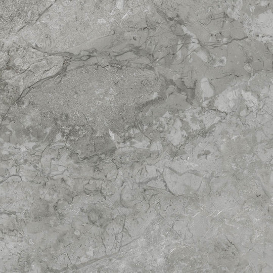 Destino Renzo Matte 24x24 Porcelain Tile