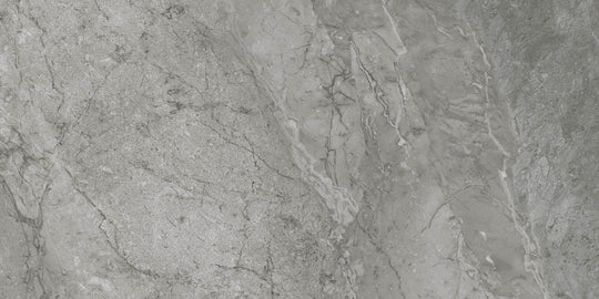 Destino Renzo Matte 24x48 Porcelain Tile
