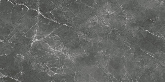 Destino Romeo Matte 24x48 Porcelain Tile