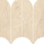 Ecstasy Paradise Arc Mosaic Glossy