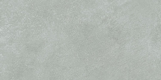 Skin Anole 12x24 Porcelain Tile
