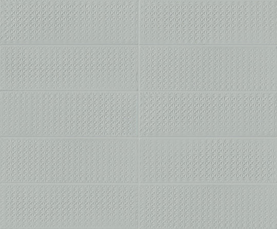 Skin Anole 2x6 Brick Lattice