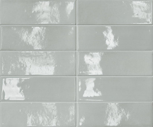 Skin Anole 2x6 Brick Gloss