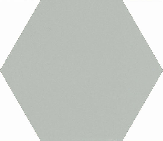 Skin Anole 8x7 Hexagon Porcelain Tile