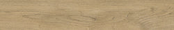 Twiggy Foxy 8x48 Porcelain Tile